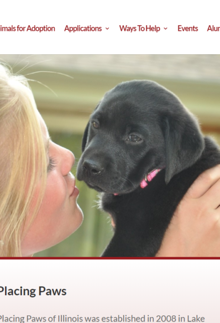 Screenshot of Animal Rescue Website